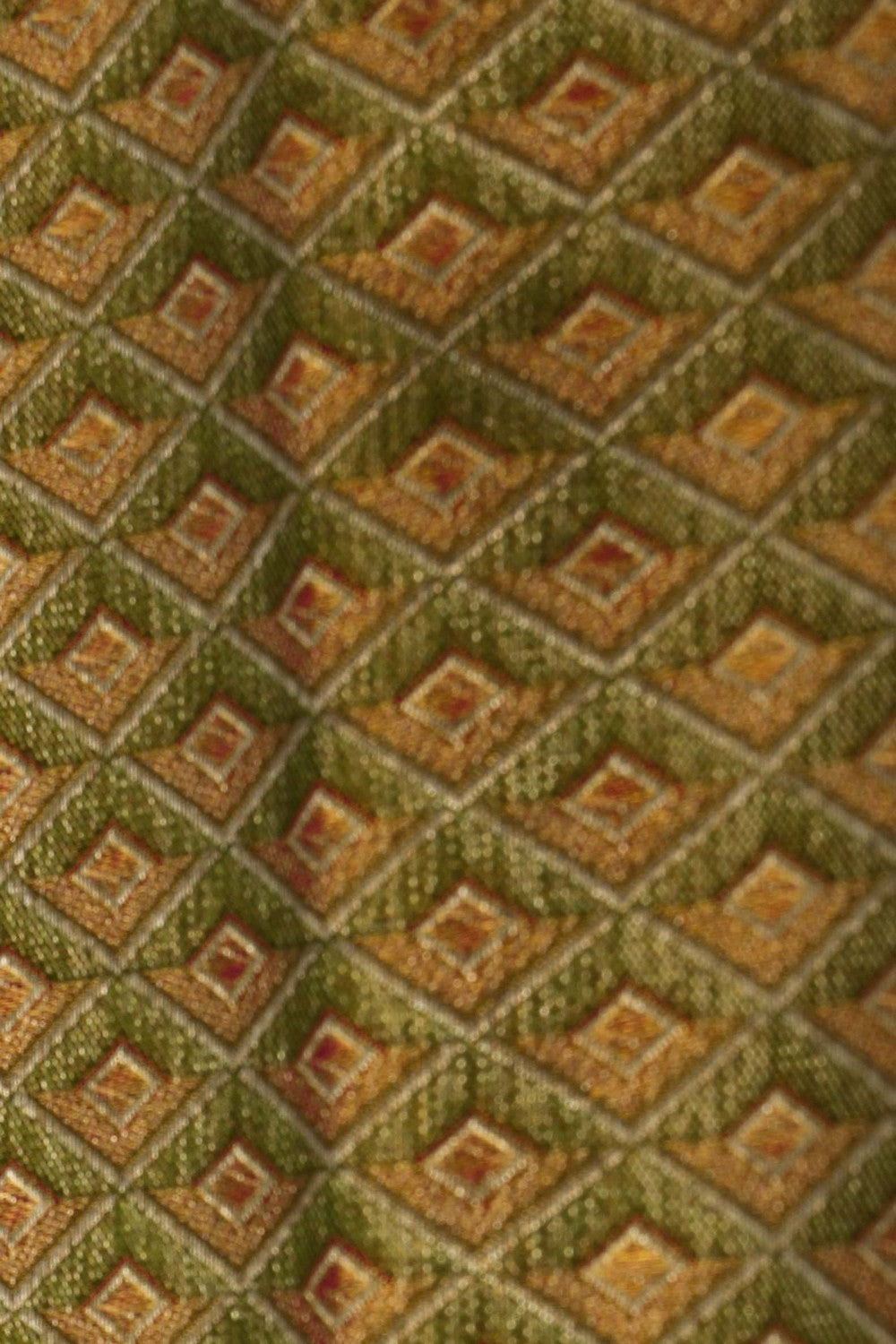 Image of Kanchipattu Tissue Brocade Green Saree